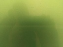 IMG_20260205_093910.jpg
