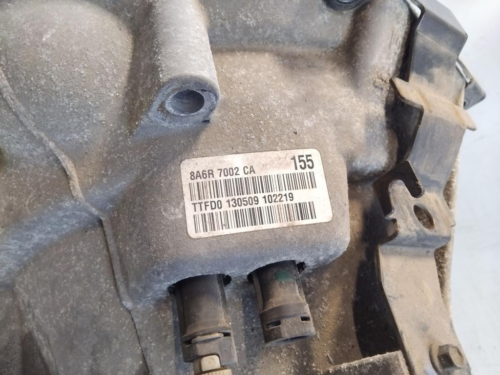 IMG_20260205_110238.jpg