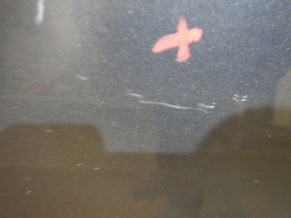 DSCN9806.JPG