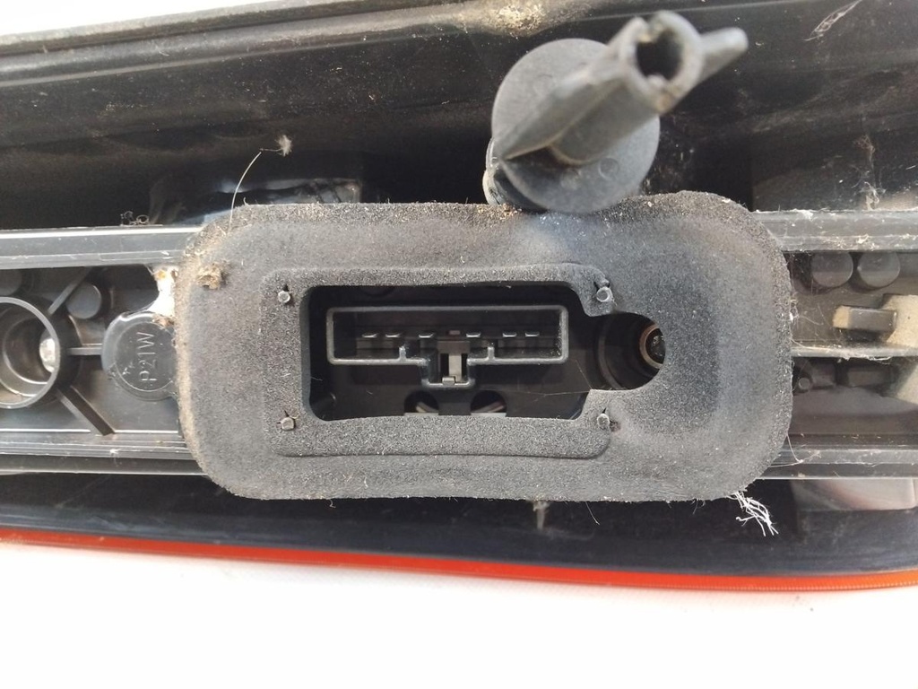 IMG_20260226_121607.jpg