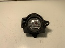 IMG_9603.jpeg