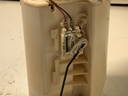 IMG_9733.jpeg