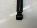 IMG_0015.jpeg
