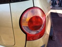 IMG_20260313_125255.jpg