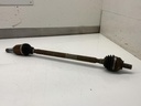 IMG_0267.jpeg