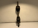 IMG_0281.jpeg
