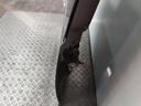 20260323_103056.jpg