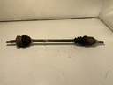 IMG_0729.jpeg