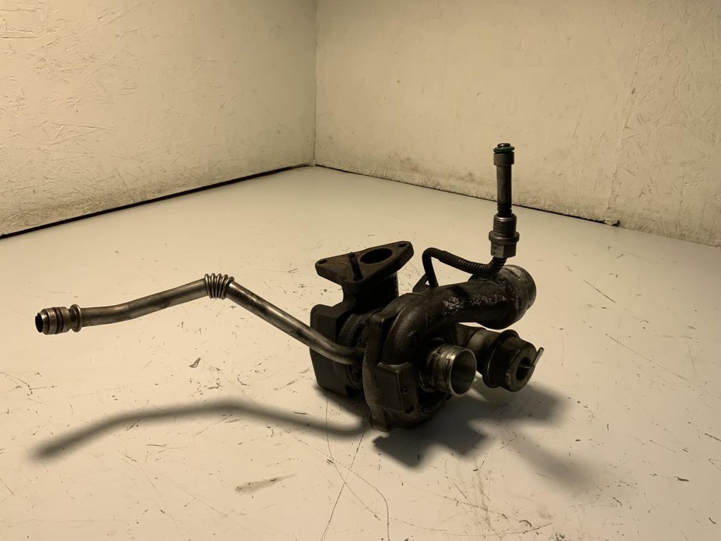 IMG_1110.jpeg
