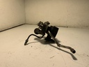 IMG_1118.jpeg