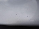 IMG_20260326_092535.jpg