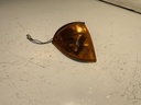 IMG_1528.jpeg