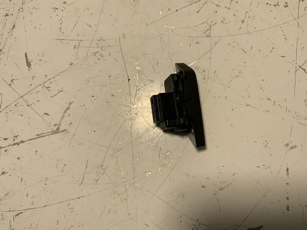 IMG_2255.jpeg