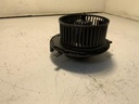 IMG_2521.jpeg