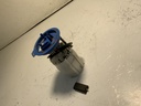IMG_2888.jpeg