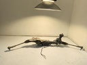 IMG_2969.jpeg