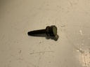 IMG_3005.jpeg