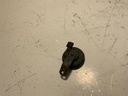 IMG_3019.jpeg