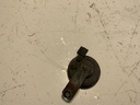 IMG_3013.jpeg