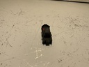 IMG_3107.jpeg