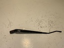 IMG_3175.jpeg