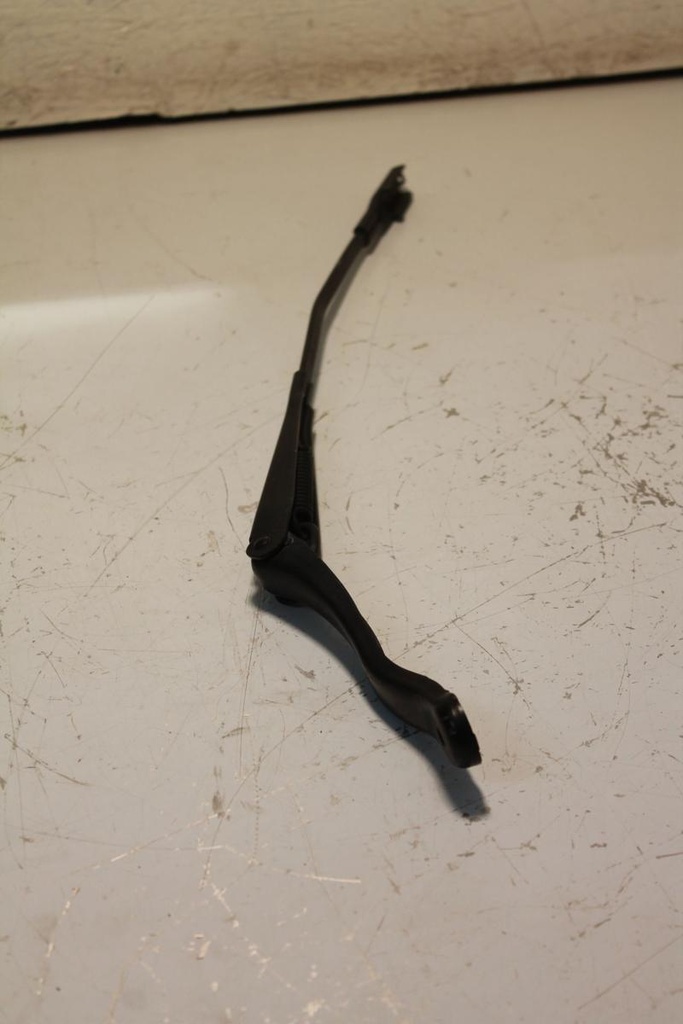 IMG_9982.JPG