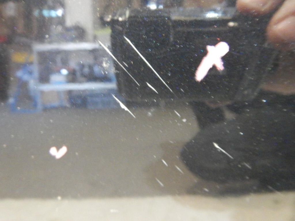 DSCN1764.JPG