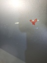 DSCN1659.JPG