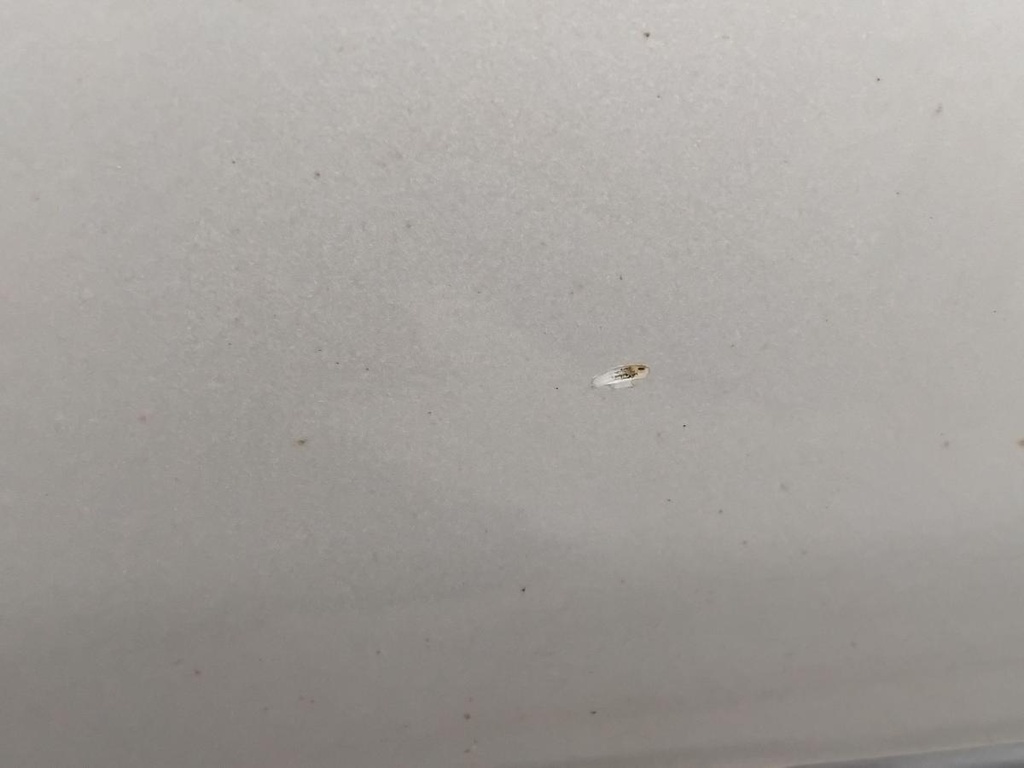 IMG_20260506_095631.jpg