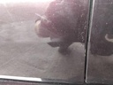 IMG_20260522_094243.jpg