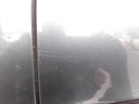 IMG_20260605_101432.jpg