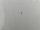 IMG_20260608_133153.jpg