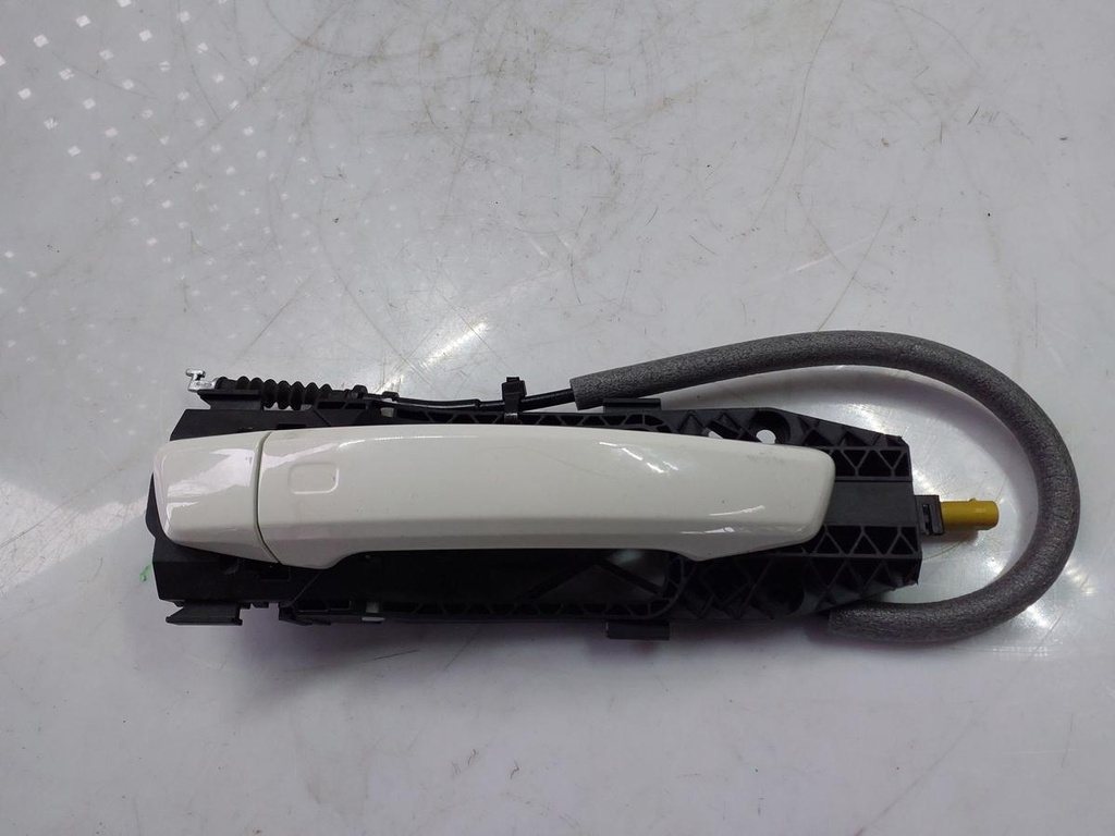 20260520_113956.jpg