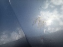 IMG_20260609_133451.jpg