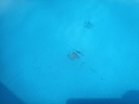 IMG_20260616_131744.jpg