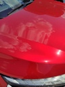 IMG_20260625_120937.jpg