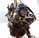 IMG_20260625_132637_9.jpg