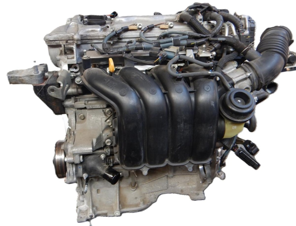 Auris 014.JPG