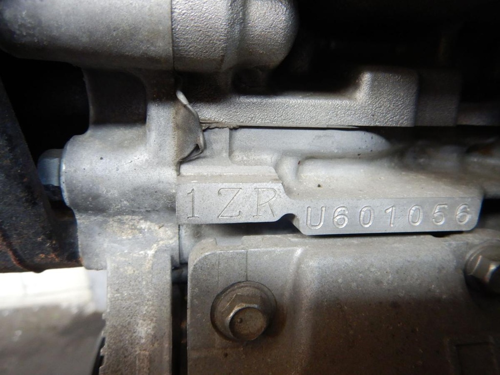 Auris 013.JPG