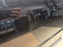 IMG_20260729_092751.jpg