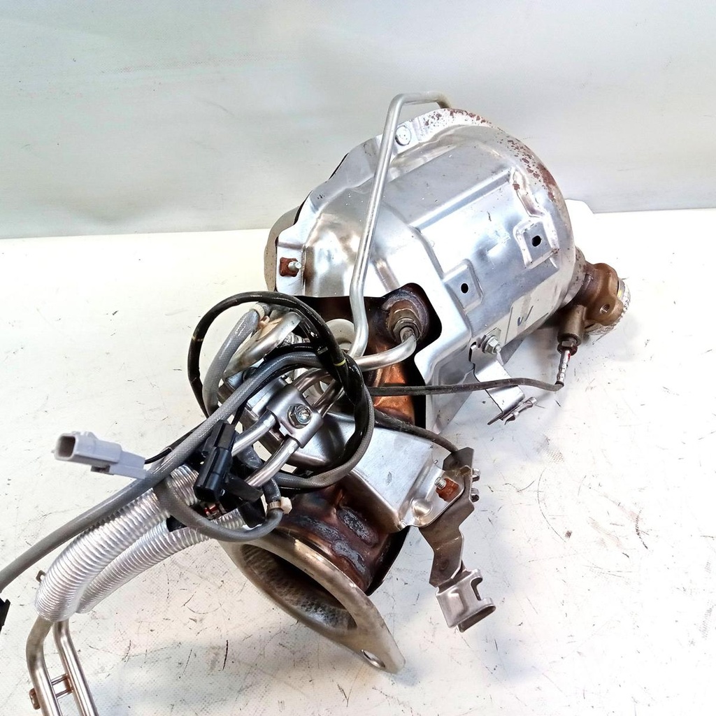 IMG_20260730_105758_205.jpg
