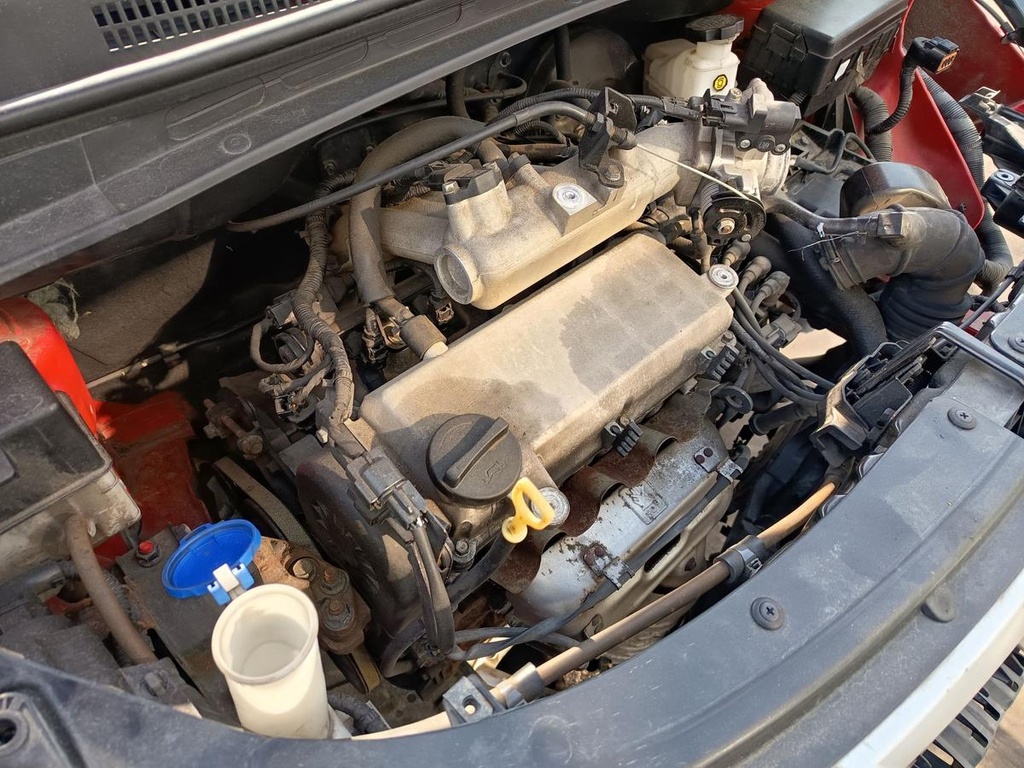 IMG_20260803_094436.jpg