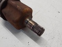 20260805_083701.jpg