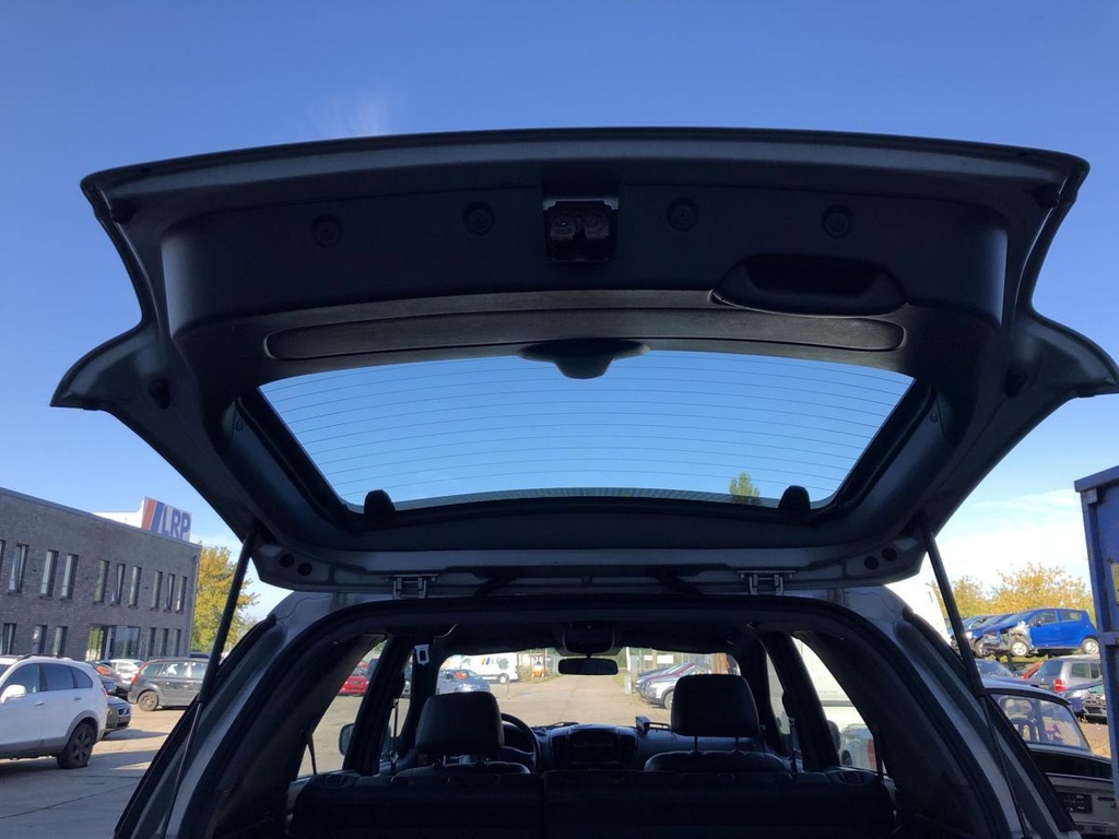 IMG_4321.JPG