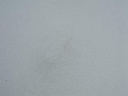IMG_20260826_091039.jpg