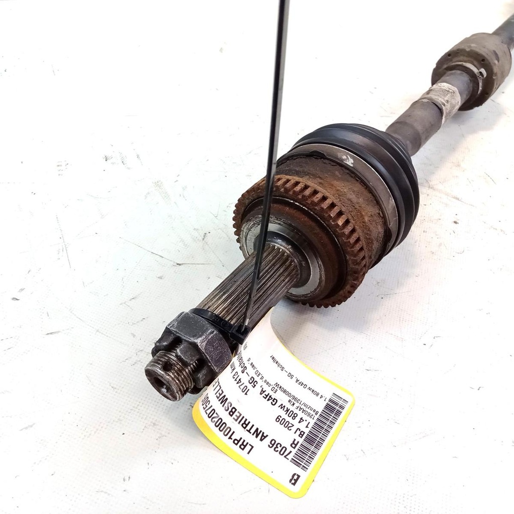 IMG_20260827_142326_5.jpg