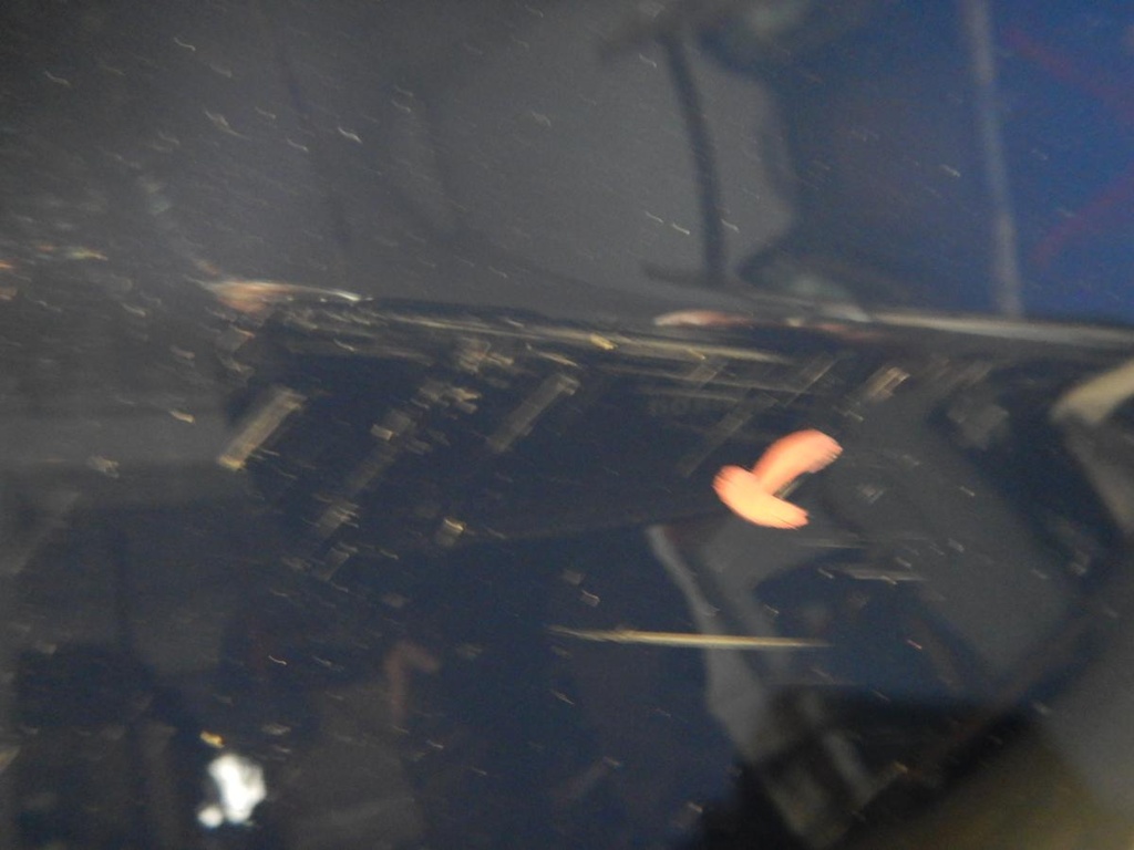 DSCN4186.JPG