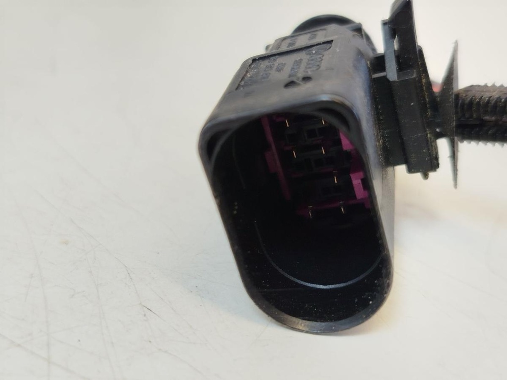 IMG_20260908_145315.jpg