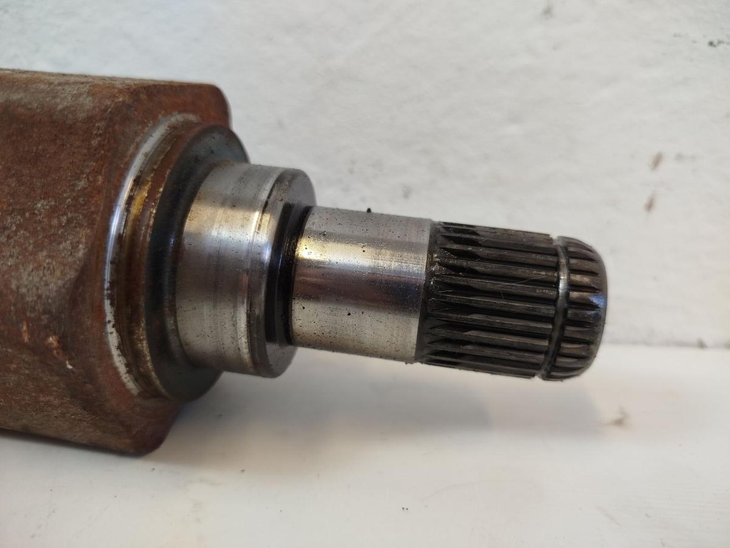 IMG_20260908_151218.jpg