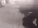 IMG_20260909_133043.jpg